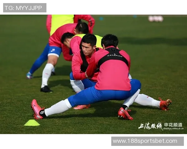 前申花球员徐友刚即将加盟石家庄功夫开启新征程